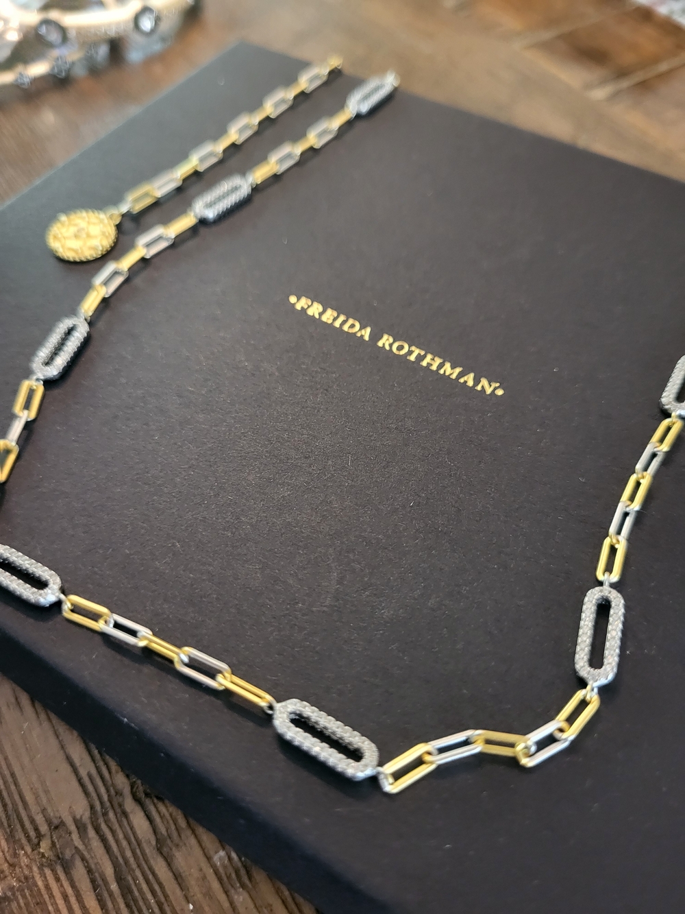 Freida Rothman Two-Tone Paperclip Necklace in Gold and Silver